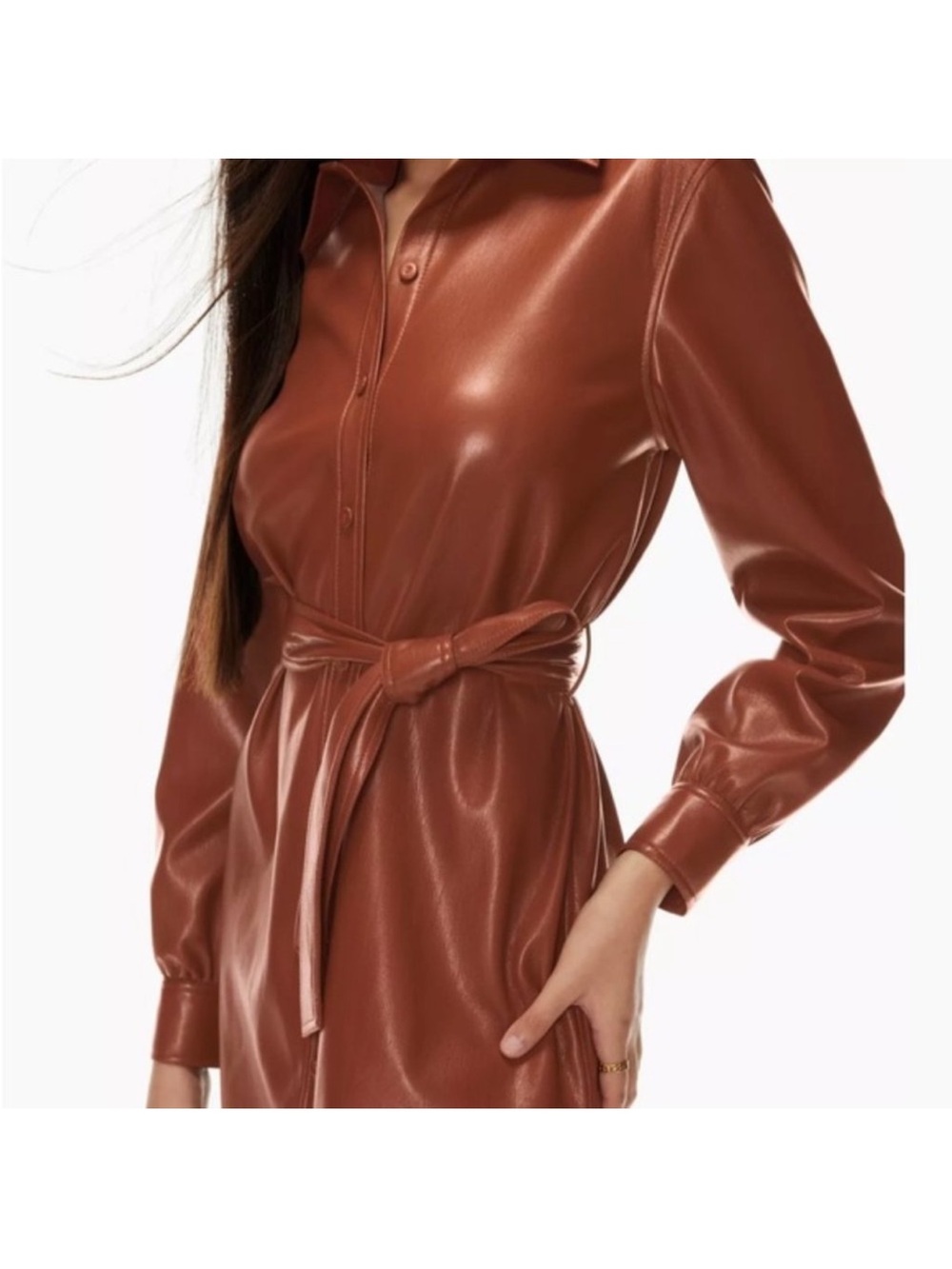 Aritzia Wilfred Vegan Leather Caroline Dress in Cognac - Picture 3 of 8